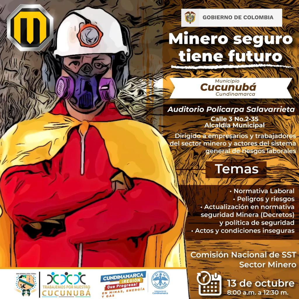 Minero Seguro tiene futuro